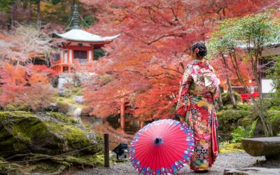 Offrez-vous les plus beaux vêtements japonais avec Kimono Japonais