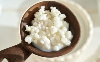 Pourquoi les grains de kéfir sont essentiels à une fermentation réussie ?