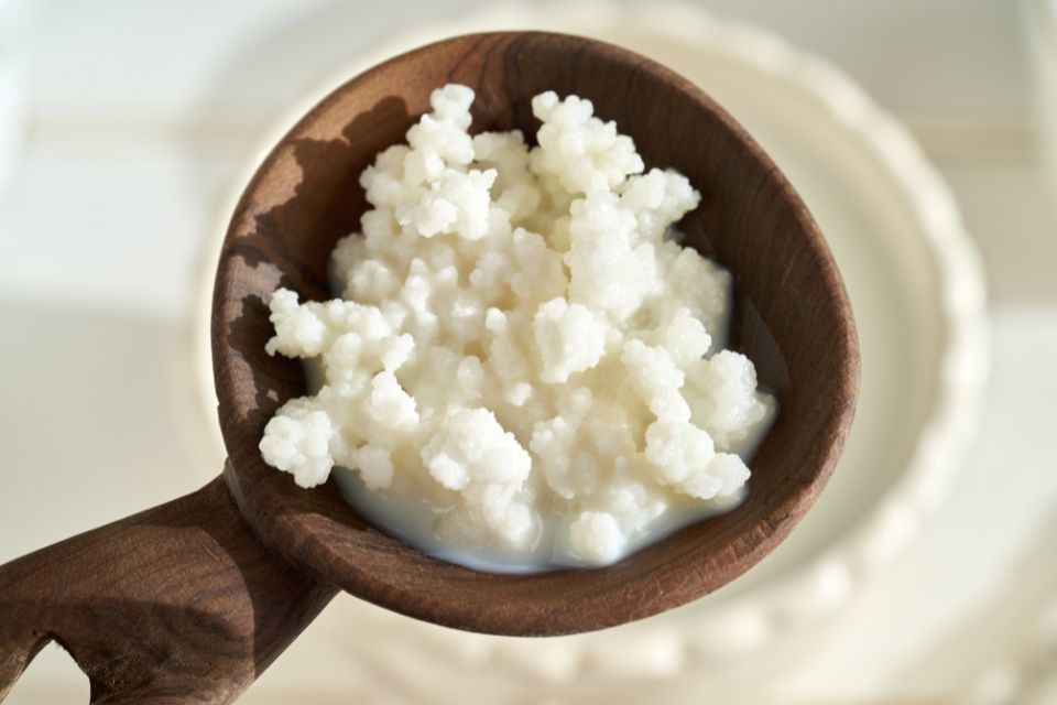 Pourquoi les grains de kéfir sont essentiels à une fermentation réussie ?