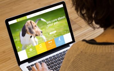 Comment transformer un site vitrine en machine à leads ?